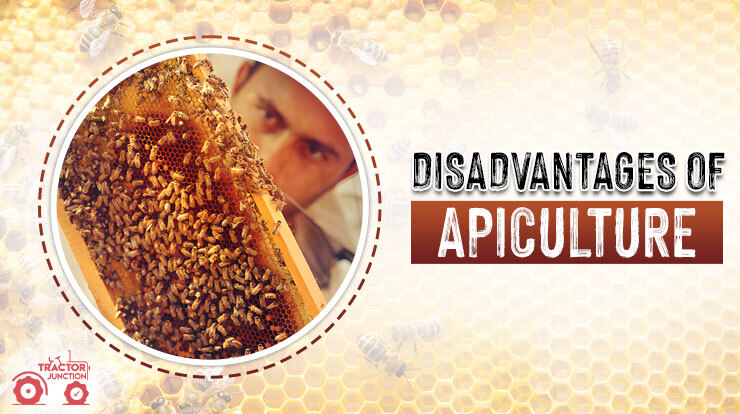 Disadvantages of Apiculture