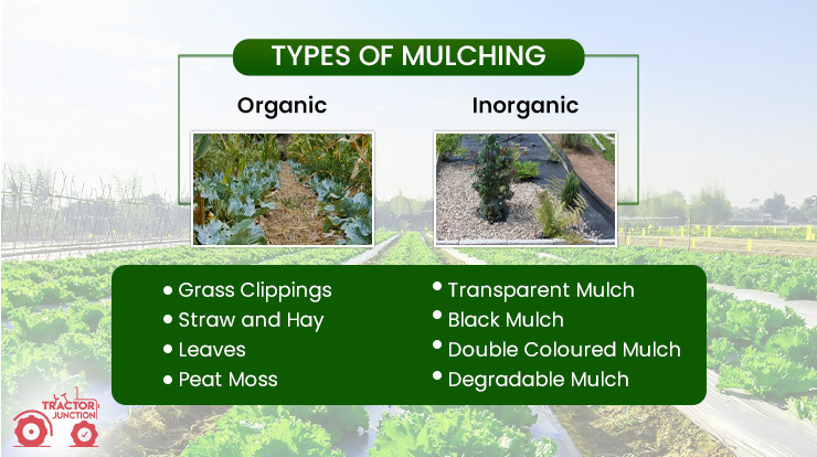 Types of Mulching