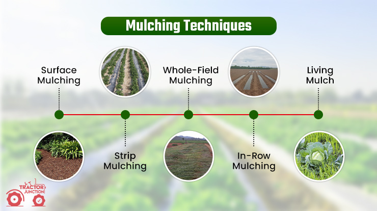 Mulching Techniques