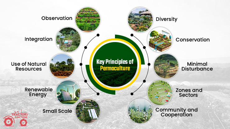 Key Principles of Permaculture 