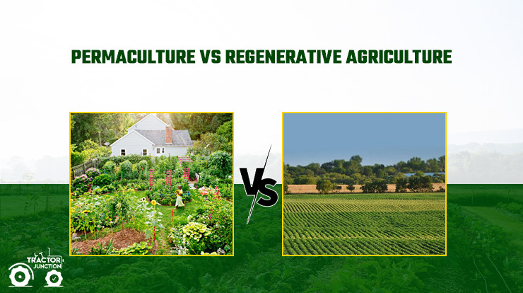 Permaculture Vs Regenerative Agriculture