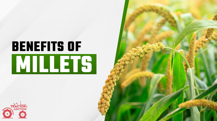 Benefits of Millets