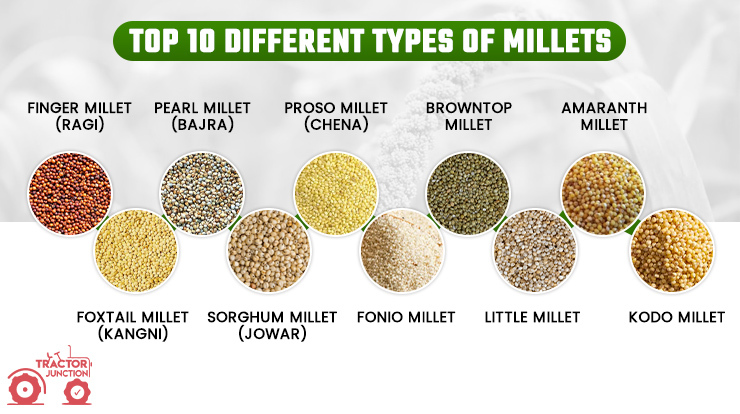 Top 10 Types of Millets in India