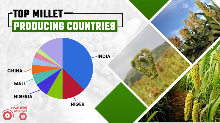 Top Millets Producing Countries
