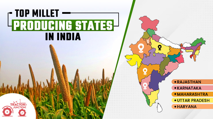 Top Millets Producing States in India
