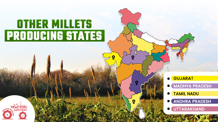 Other Millets Producing States